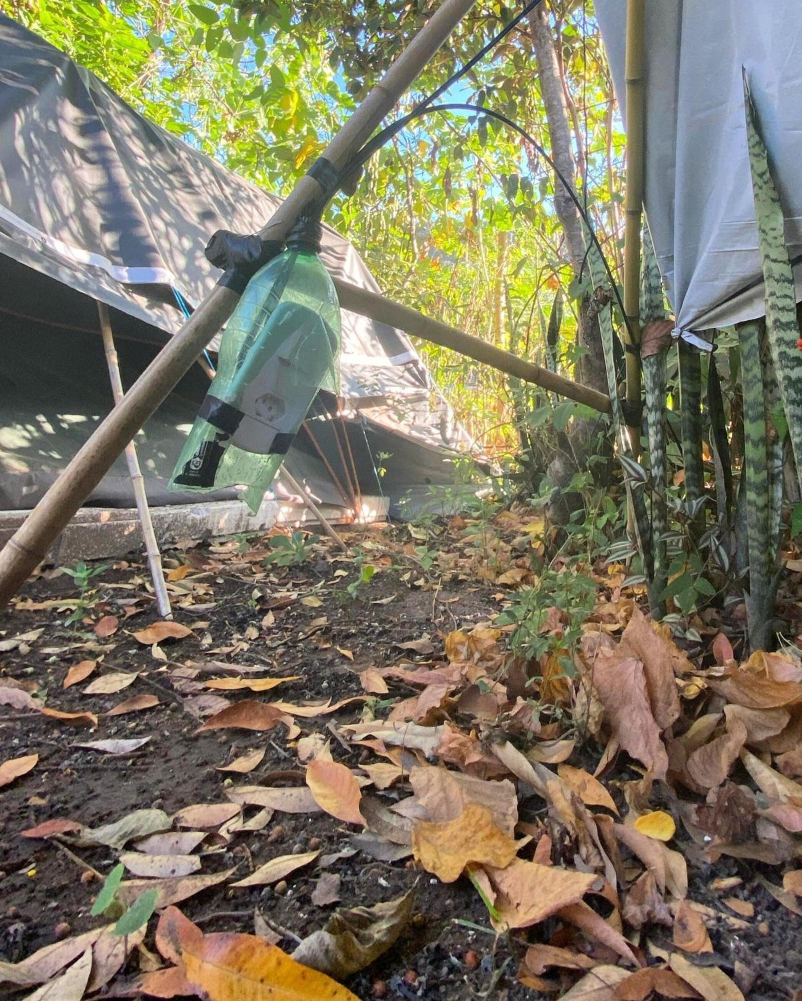 Camping Filhos Da Floresta - Vale Do Capao Dış mekan fotoğraf