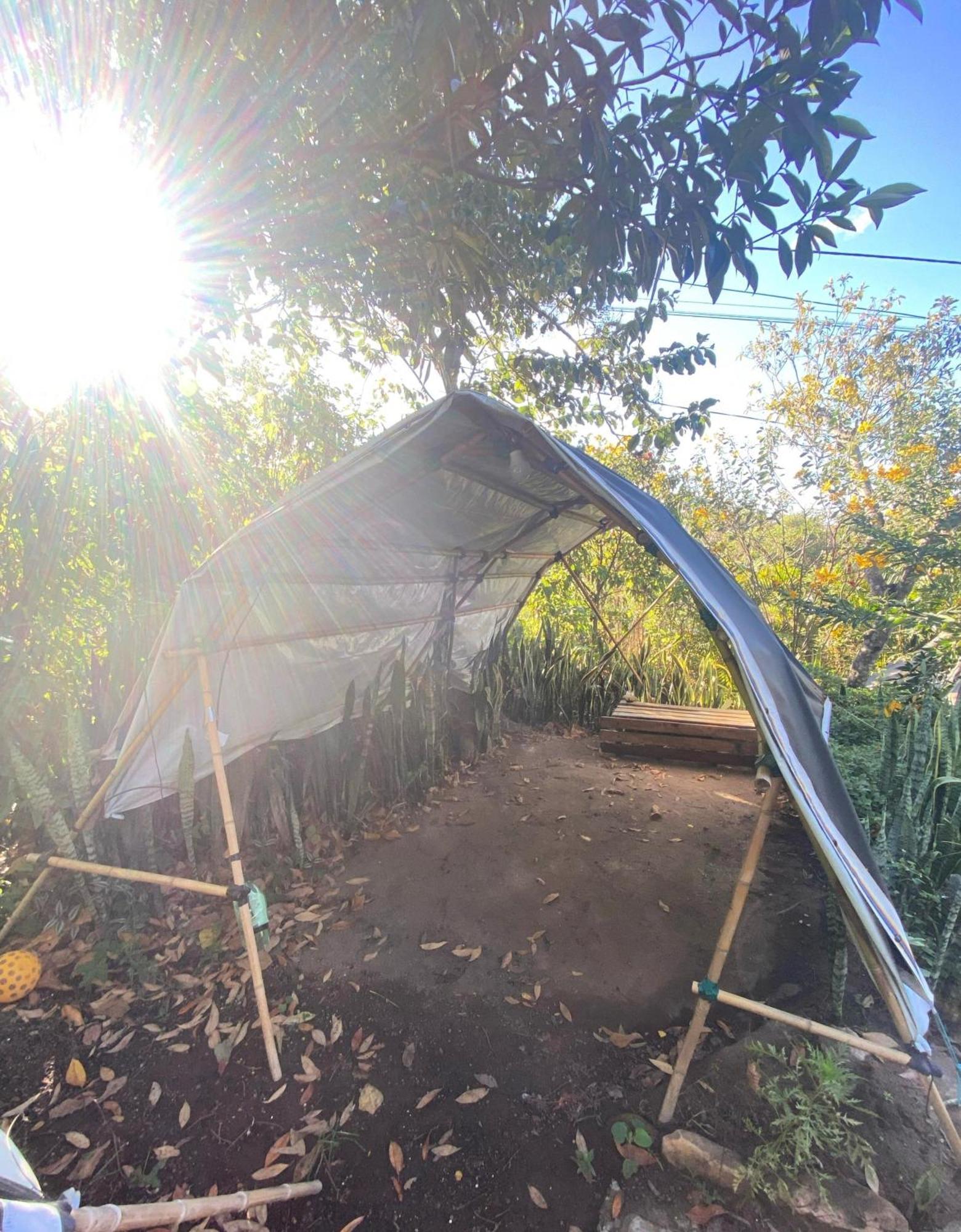 Camping Filhos Da Floresta - Vale Do Capao Dış mekan fotoğraf